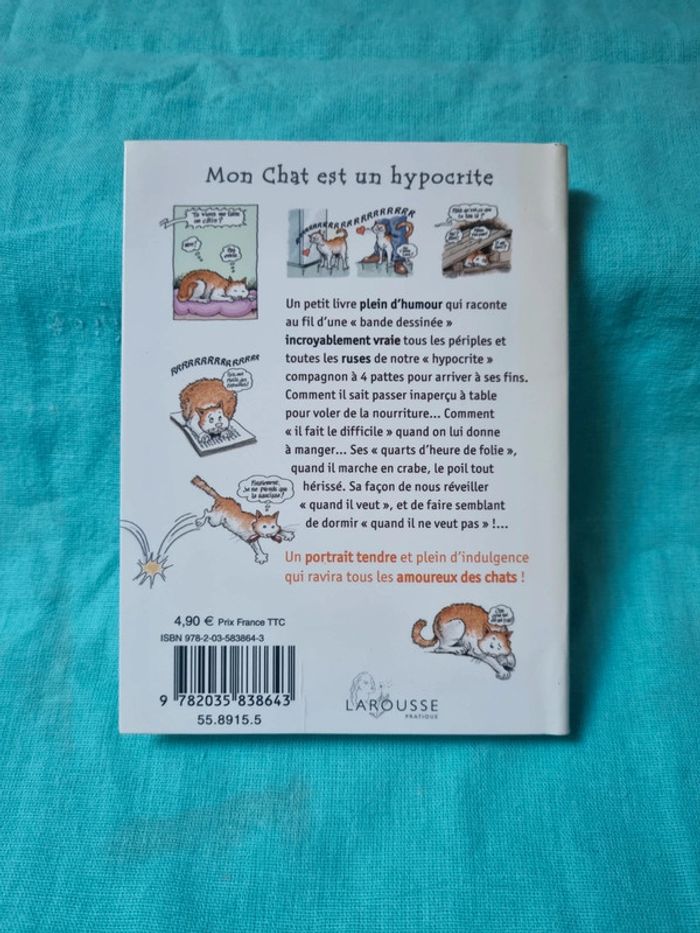 Mon chat est un hypocrite - photo numéro 2