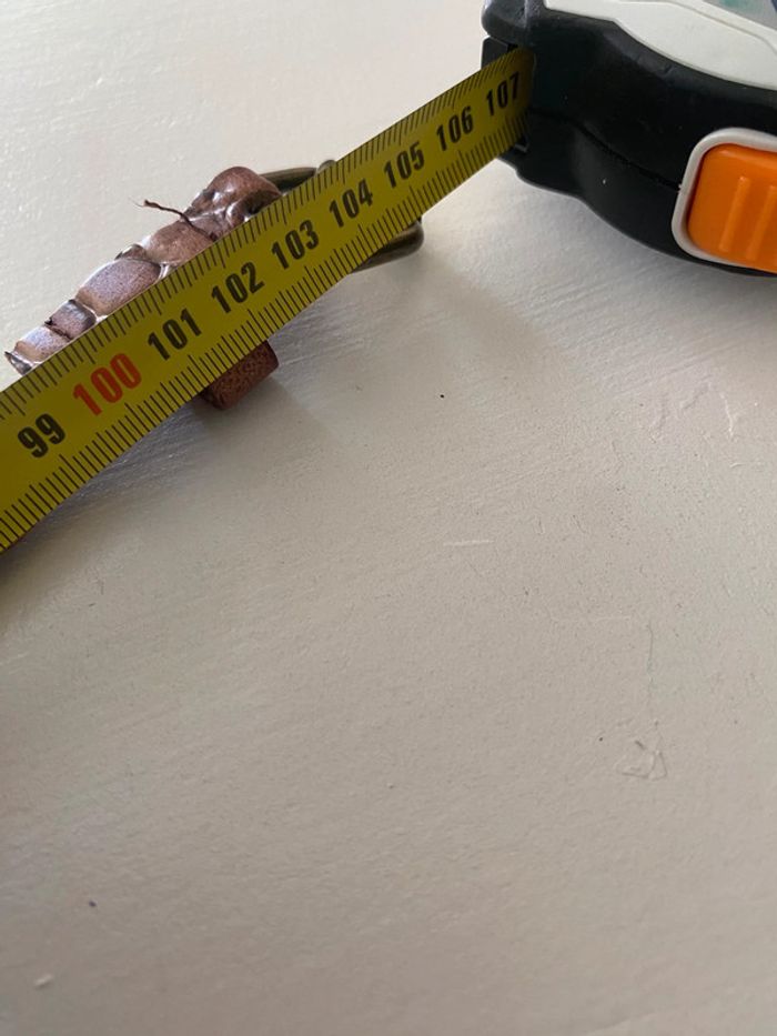 Ceinture - photo numéro 5