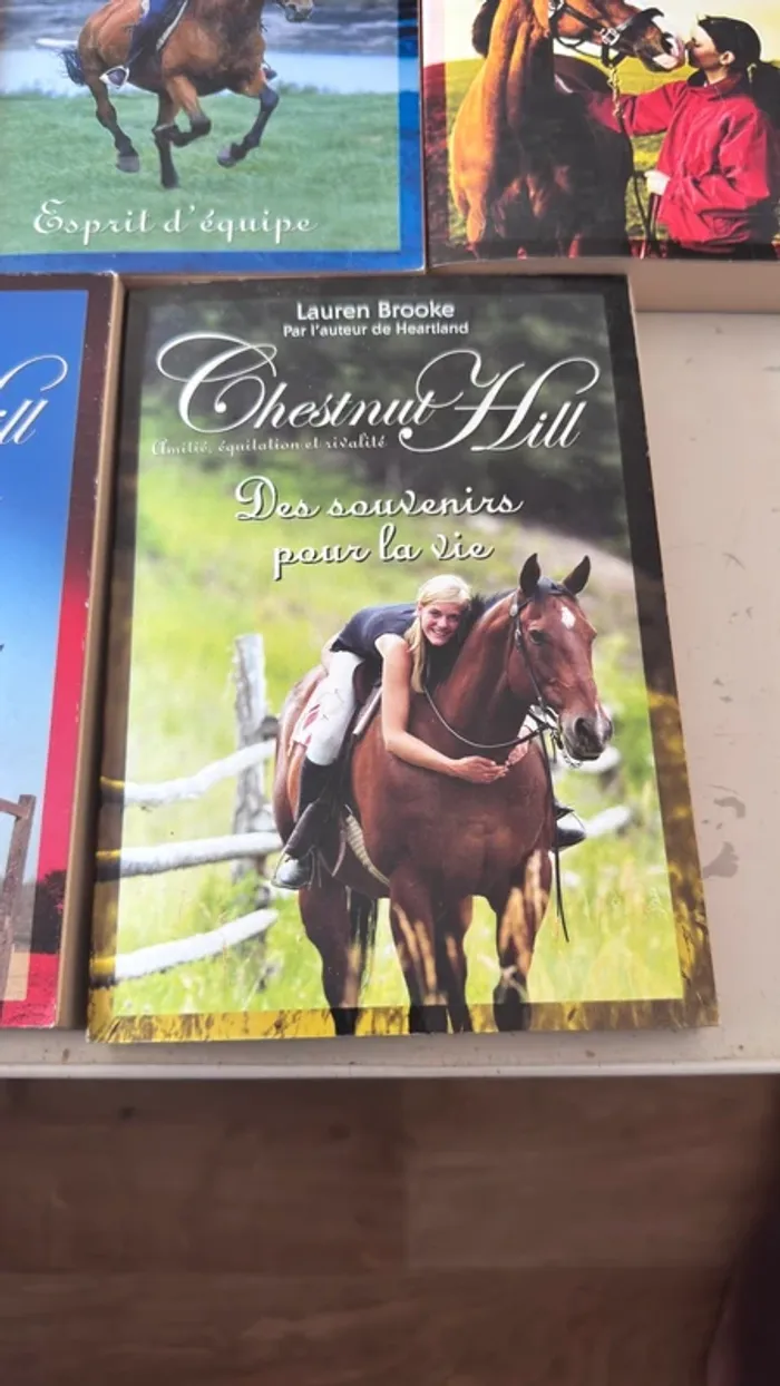 📚 Lot complet – Chestnut Hill – Tomes 1 à 9 – Lauren Brooke - photo numéro 15