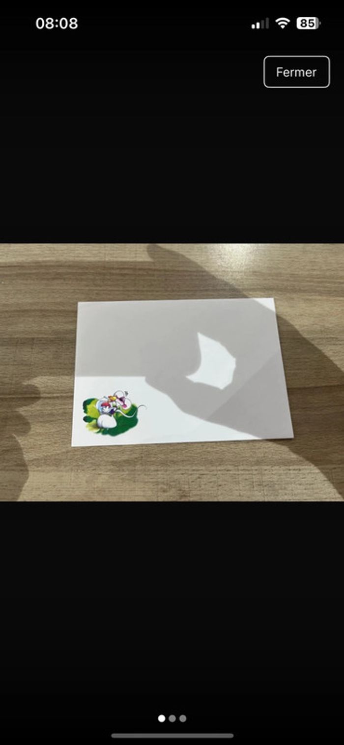 Enveloppe diddl