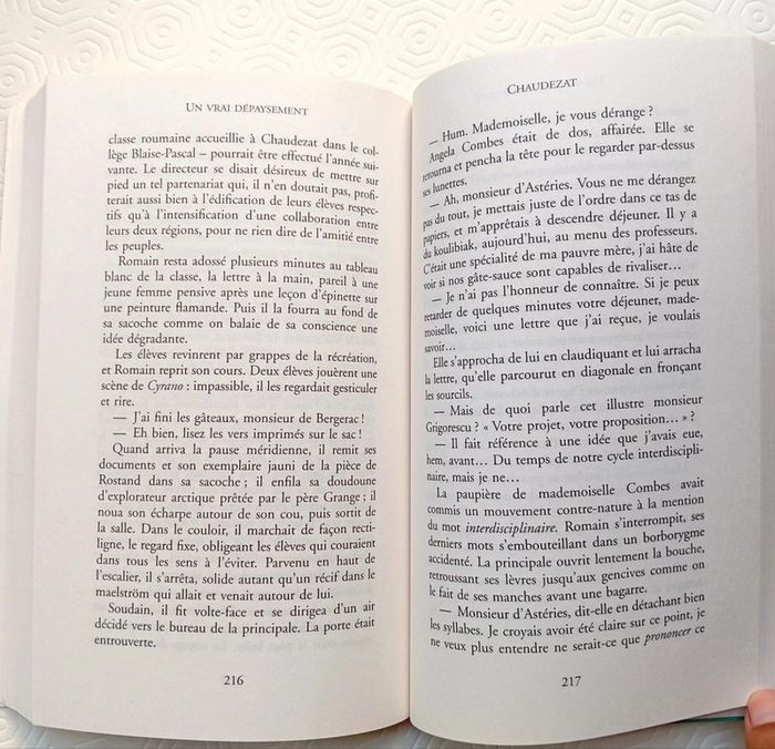Livre Un Vrai Dépaysement. Clément Bénech. Éditorial Flammarion - photo numéro 2