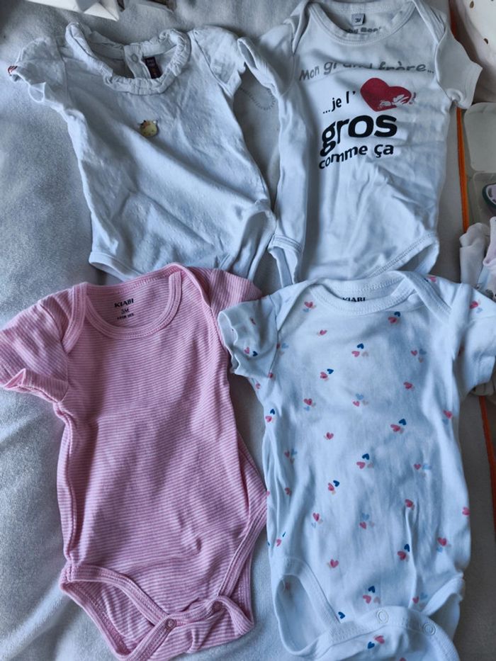Bodies