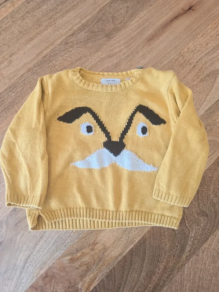 Pull Zara baby