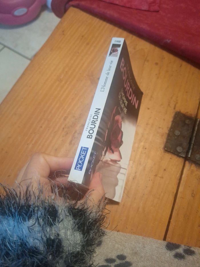 Livre bourdin pocket - photo numéro 2