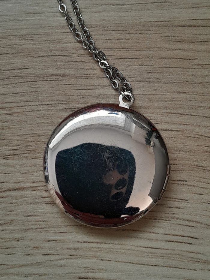 Collier médaillon "Plus que ma propre vie" Renesmée Cullen, Twilight - photo numéro 3