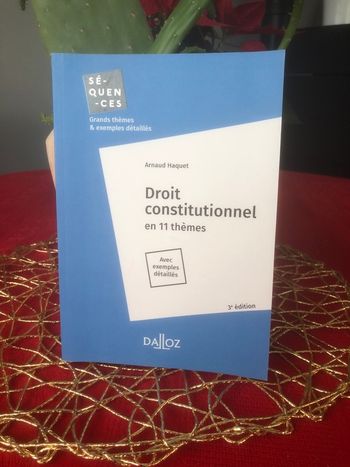 Droit constitutionnel en 11 thèmes - Arnaud Haquet