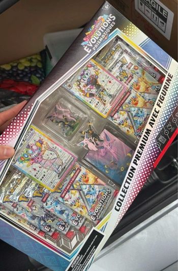 Coffret figurine premium