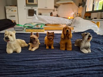 Lot chiens en platre