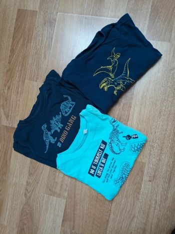 Lot 3 t shirt dinosaure 3ans