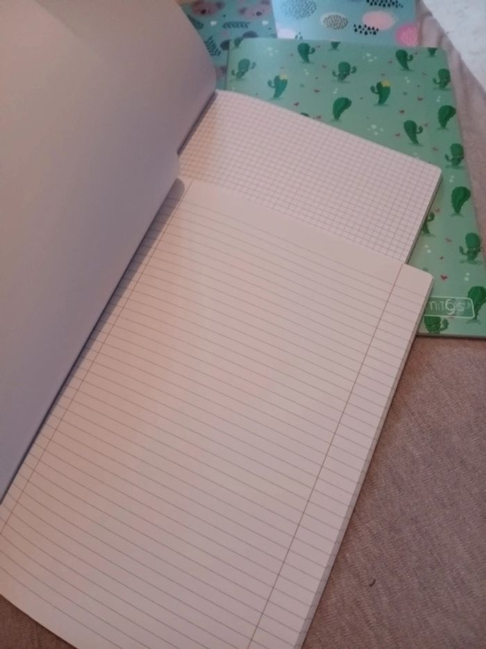 Lot cahier taille A4  ligne ou petits carreaux couverture plastique - photo numéro 3