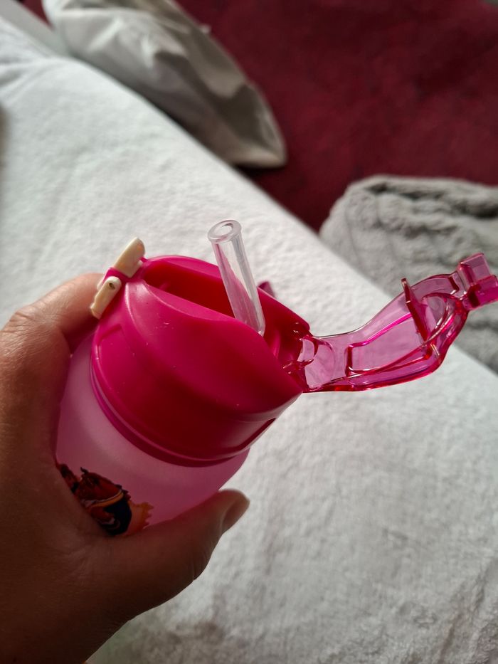 Magnifique Gourde enfant la belle et la Bête 750ml - photo numéro 4