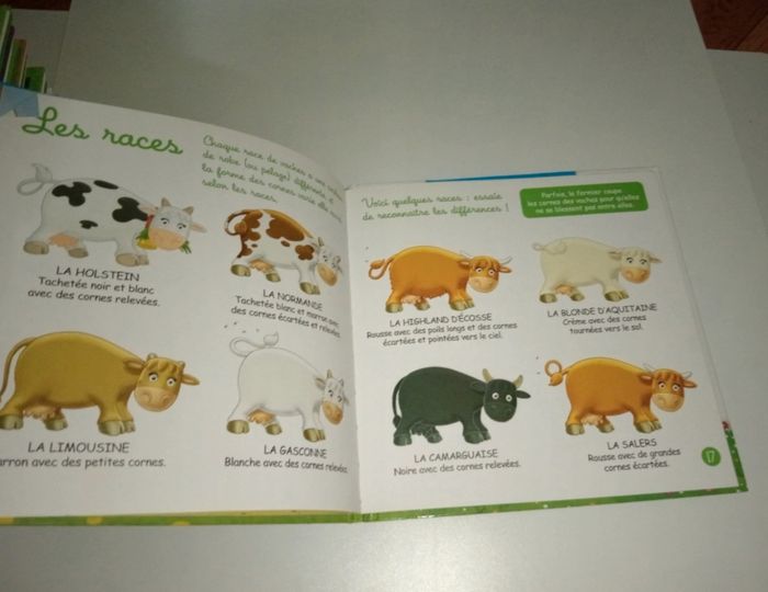 Altaya - Animaux de la ferme - photo numéro 4