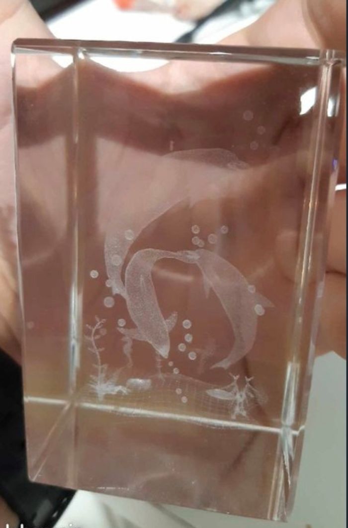 Décoration rectangle en verre 3D dauphins - photo numéro 4