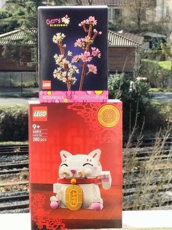 Lego le chat porte bonheur et les fleurs de cerisier 