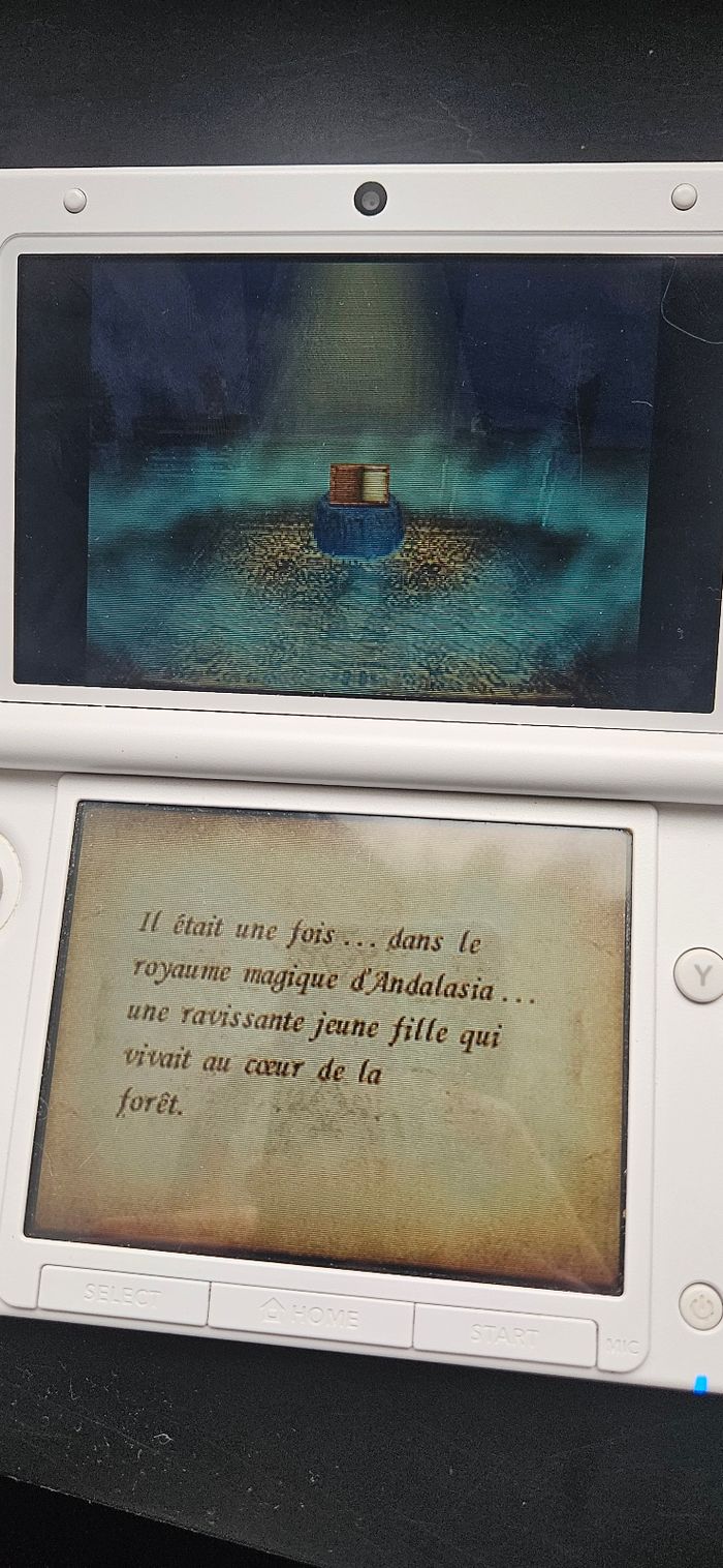 Jeu Nintendo DS – Enchanted : Il était une fois - photo numéro 4