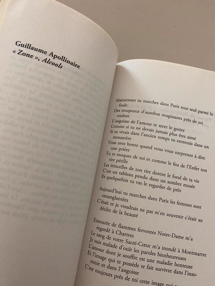 Livre Notre Dame - photo numéro 6