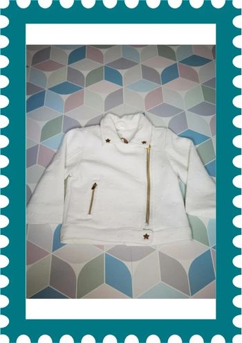 D3848 - veste fille 9 mois