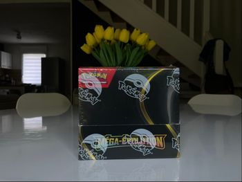 Display ME01 scellé