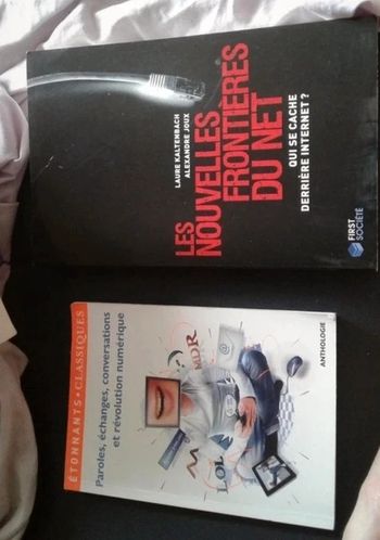 Lot livre internet numérique société