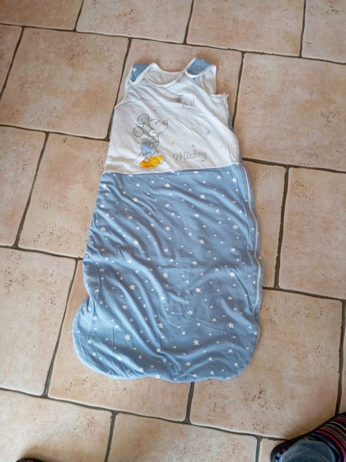 Gigoteuse Disney baby 6/18 mois