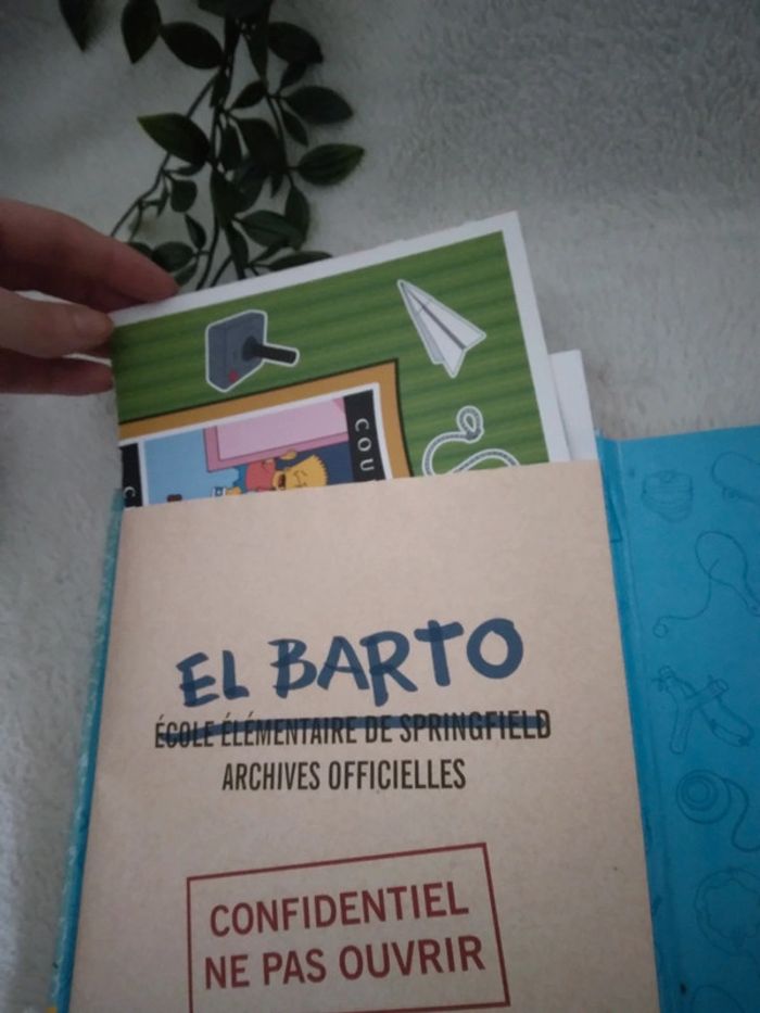 🍁Livraison a 1€ jusqu'à lundi 9h sur LBC - tigre16🍁🌸Livre Bart Simpson 🌸 - photo numéro 3