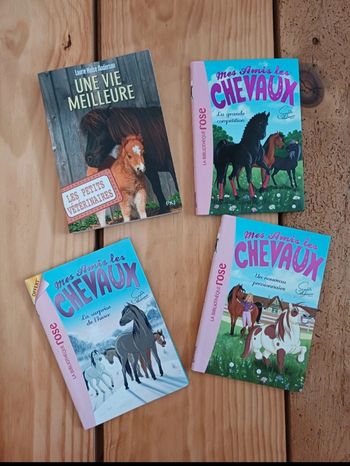 Lot de livre 
