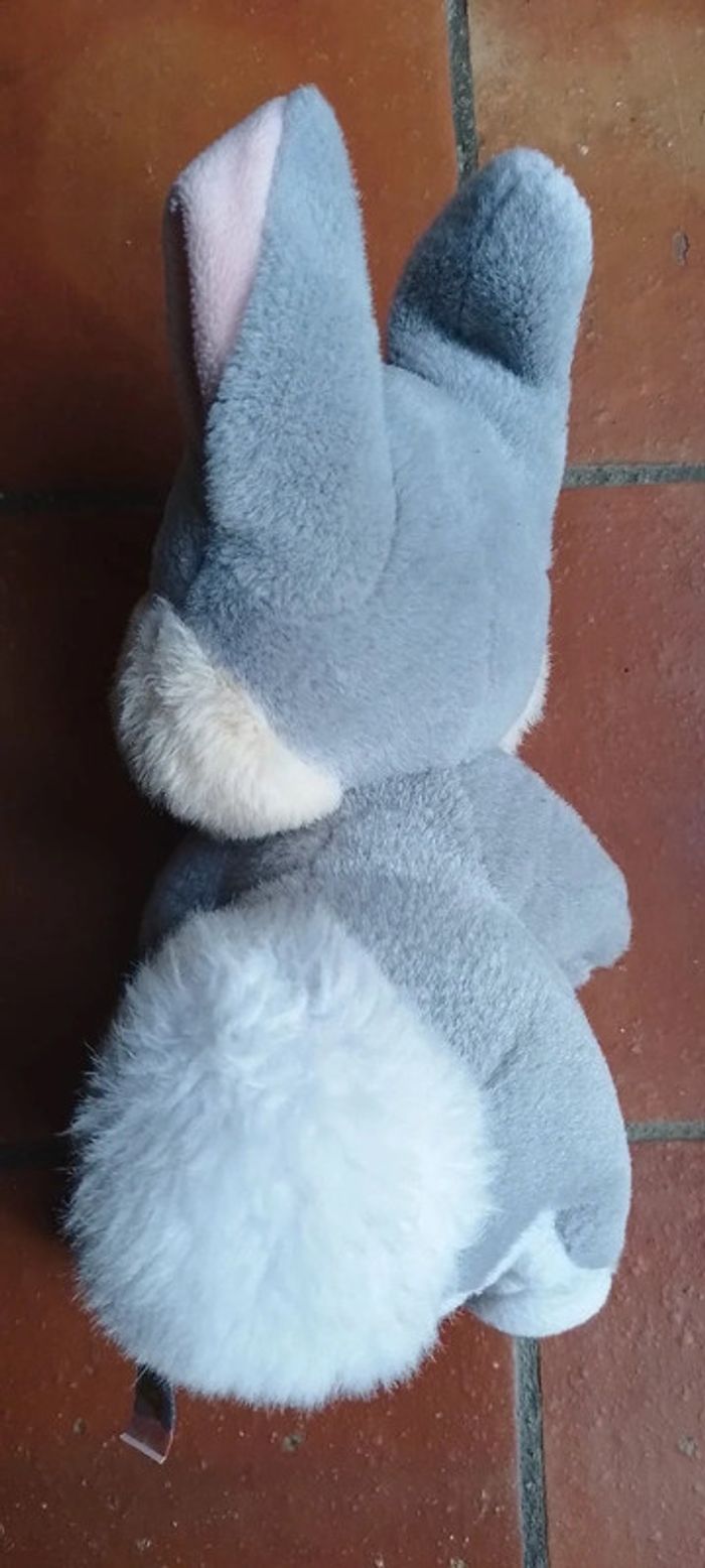 Lapin Pampan Bambi - photo numéro 5
