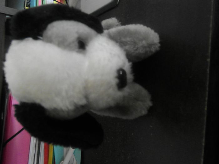 peluche - photo numéro 2