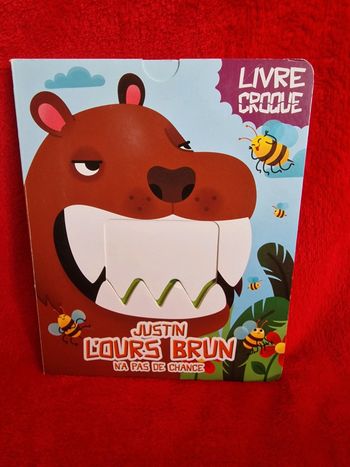 Livre Justin l'ours brun n'a pas de chance