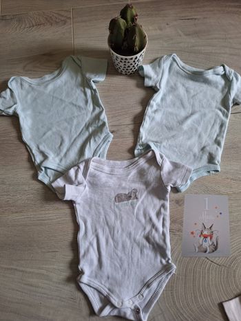 Lot 3 bodies été manches courtes garçon 1 mois