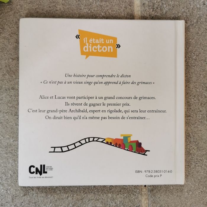 Ce n'est pas à un vieux singe qu'on apprend à faire des grimaces - photo numéro 2