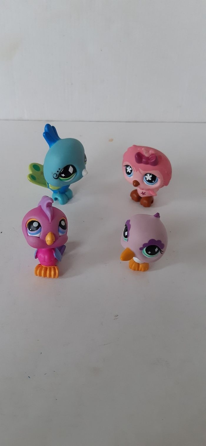 4 oiseaux petshop
