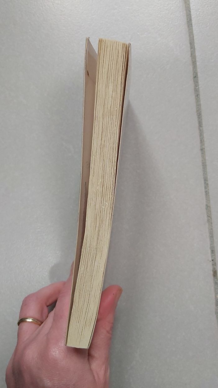 Les matriochkas - photo numéro 4