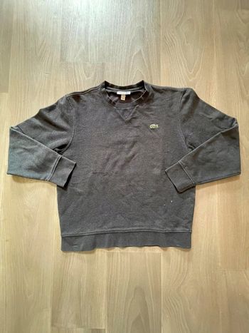 Sweat Lacoste Gris Anthracite | FR 4 | US M