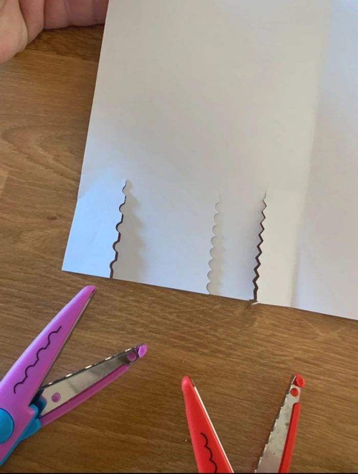Lot de 6 ciseaux crantés - photo numéro 4