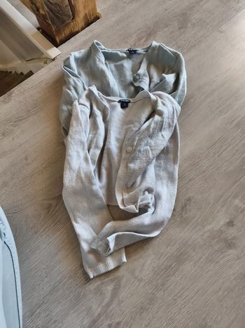 Gilet bleu clair et blanc gris
