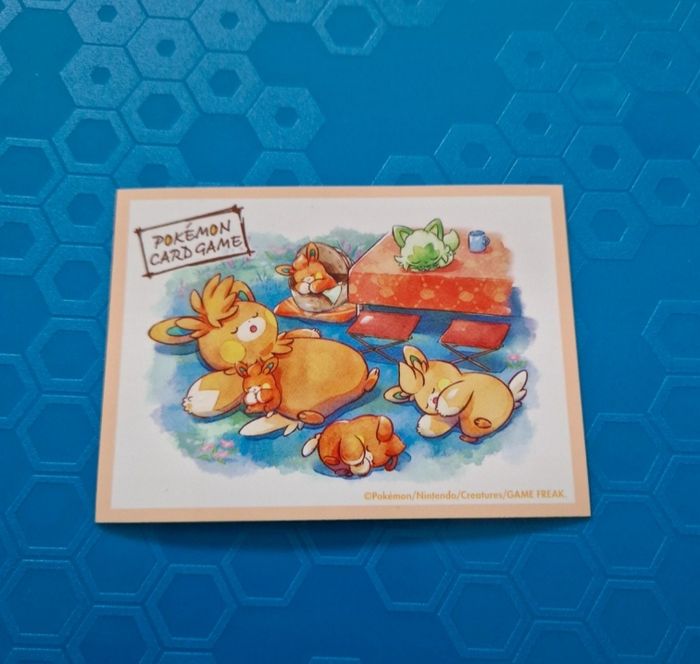1 sleeve pokemon