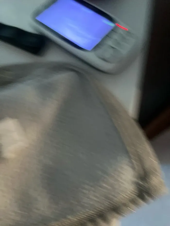 Gilet fille 23 mois 86 cm - photo numéro 10