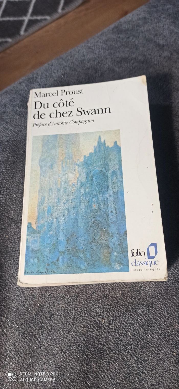 Livre du côte de chez swann