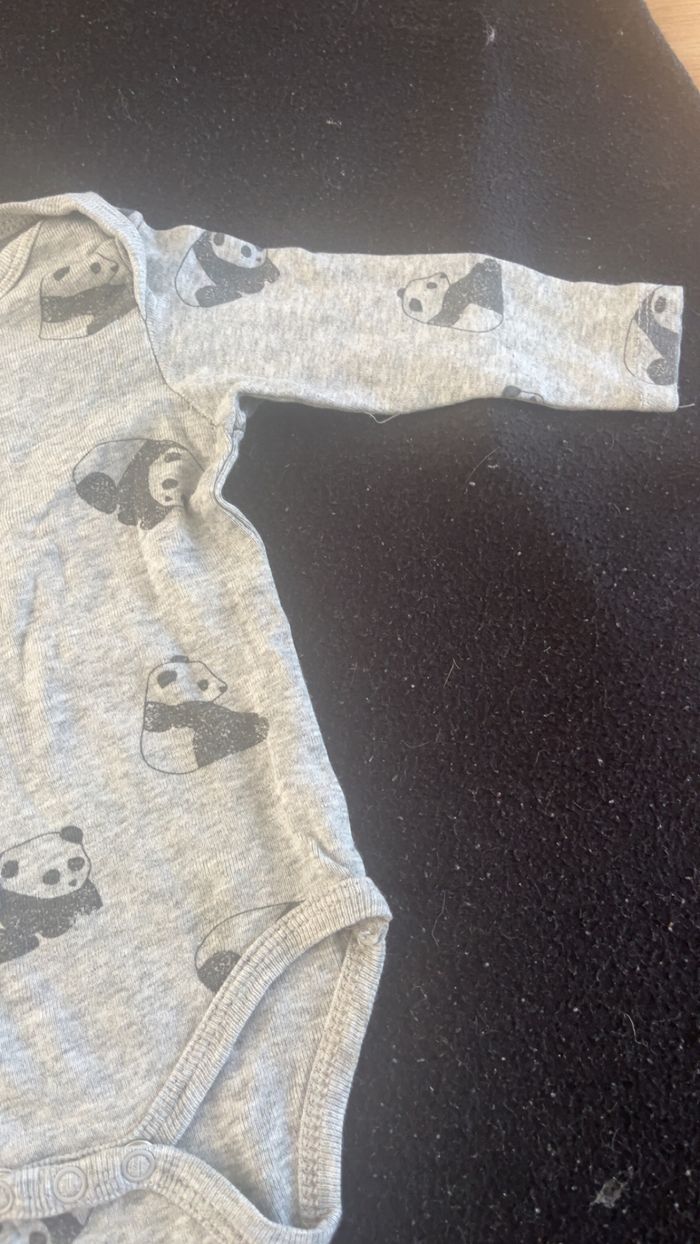 Bodie 3 mois - photo numéro 2