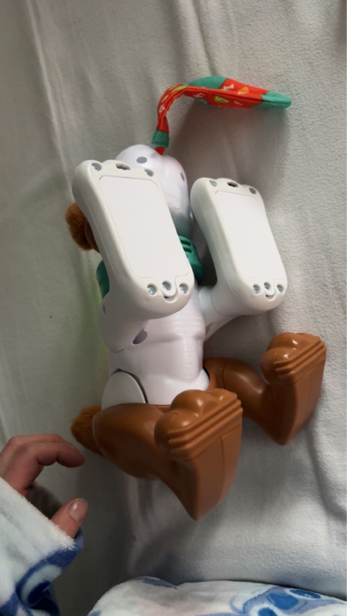 Jeux chien - photo numéro 3