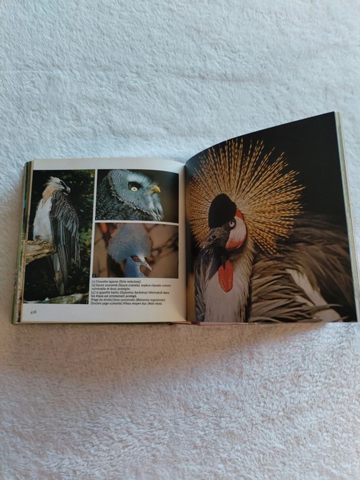 Livre les oiseaux 1001 photos - photo numéro 4