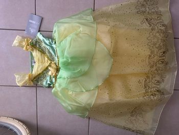 Robe princesse Disney 