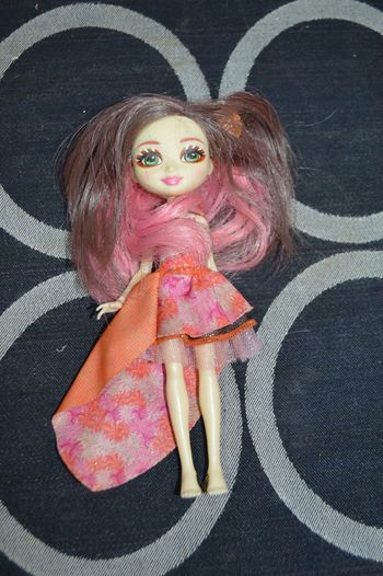 Poupée Enchantimals