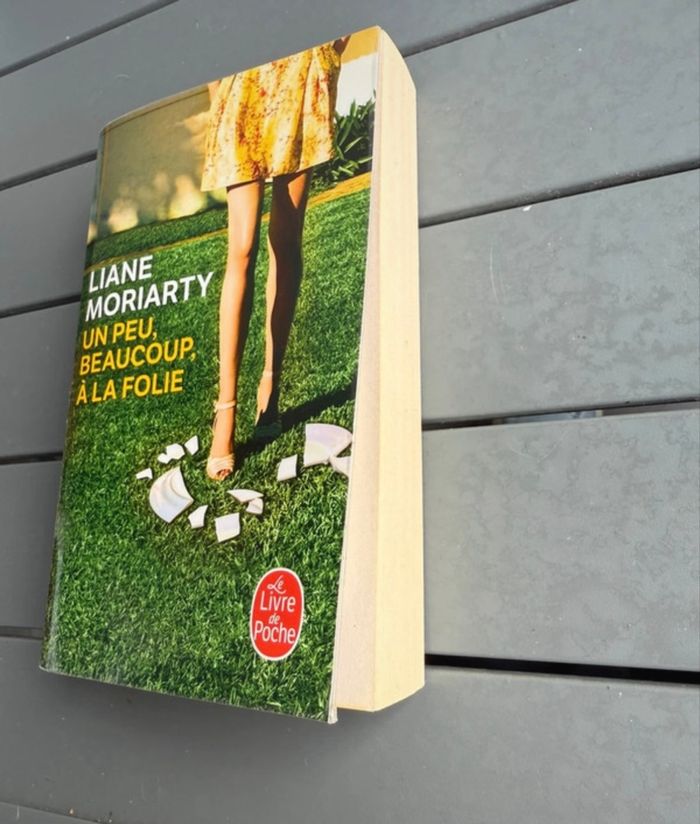 Livre « un peu, beaucoup, à la folie » - photo numéro 2