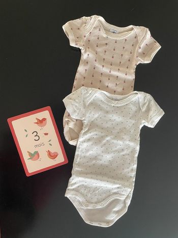 Lot 2 bodys petit Bateau