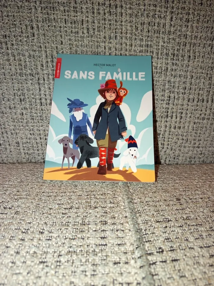 Livre "Sans famille"