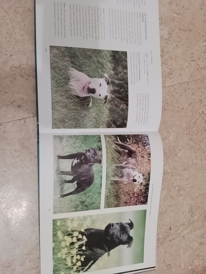 Encyclopédie des chiens - photo numéro 6