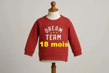 Sweat  rouge  /  bordeaux imprimé blanc  Tape à l'oeil Taille  18 mois