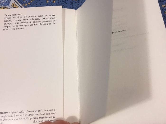 La vie en mieux de Anna Gavalda - photo numéro 2